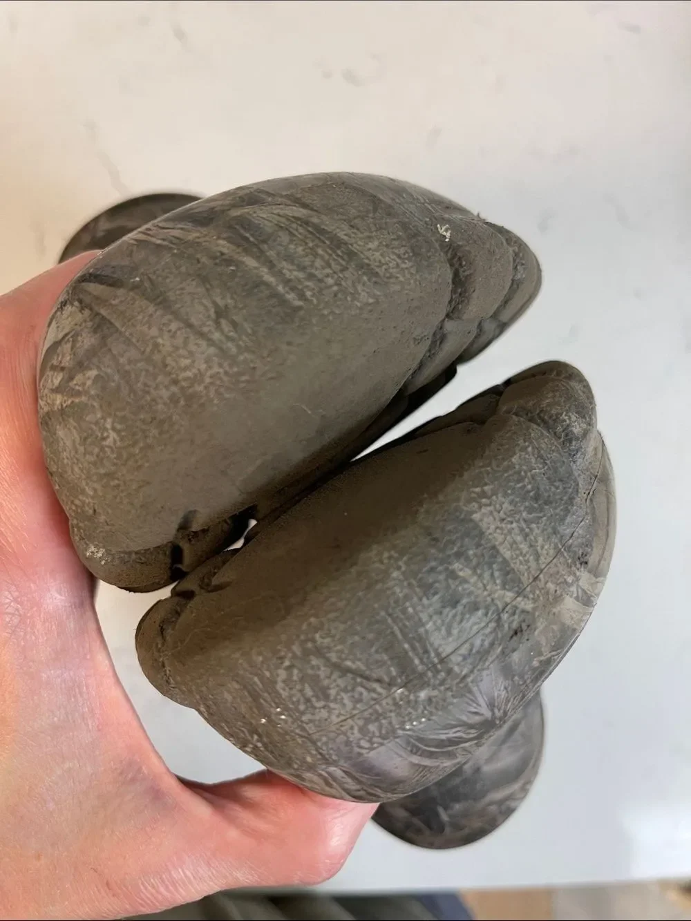 CROCS brand circa